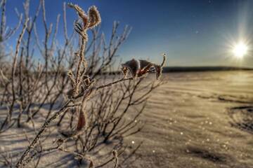 Фото Курортные отели Napapiirin Järvilomat г. Раануйярви 1